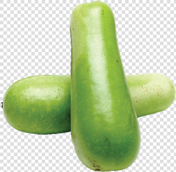 Opo Squash  Each   Gourd  HD Png DownloadTransparent PNG