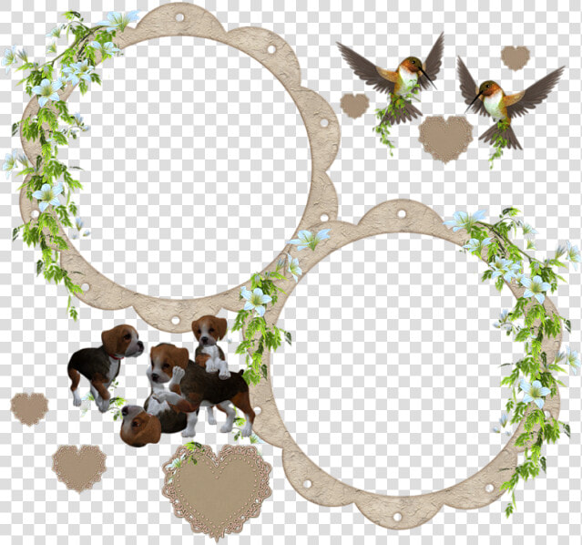 Cadre   Picture Frame  HD Png DownloadTransparent PNG