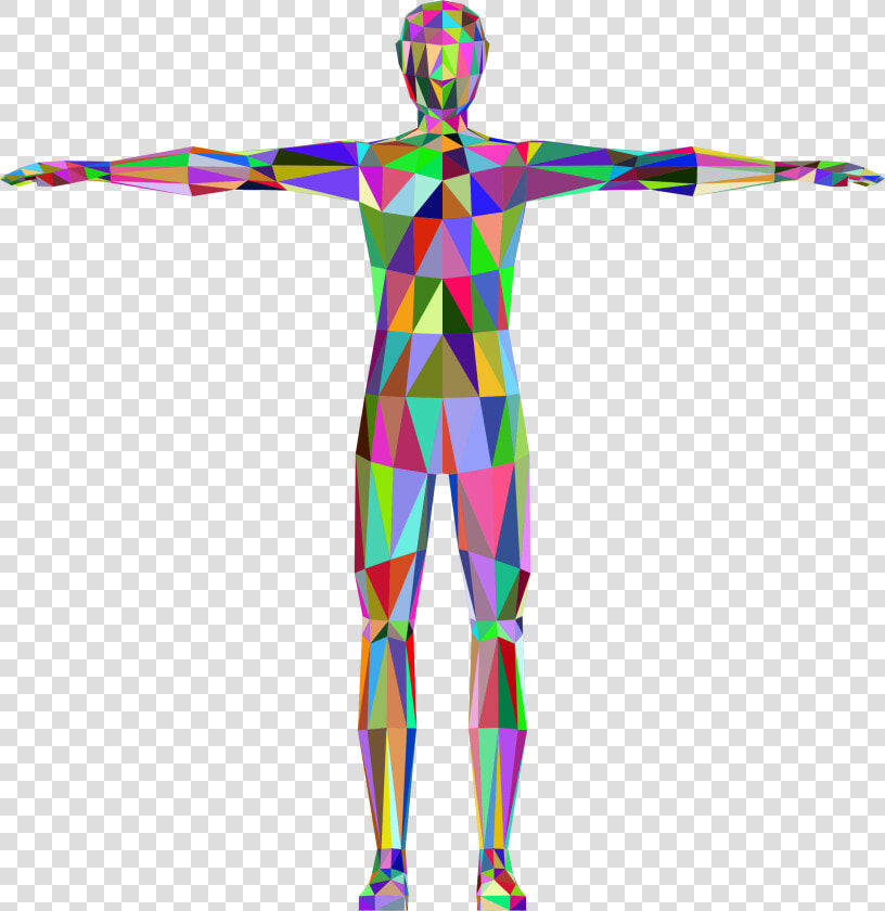 Transparent Human Body Png   Human Body Anatomy Clipart  Png DownloadTransparent PNG