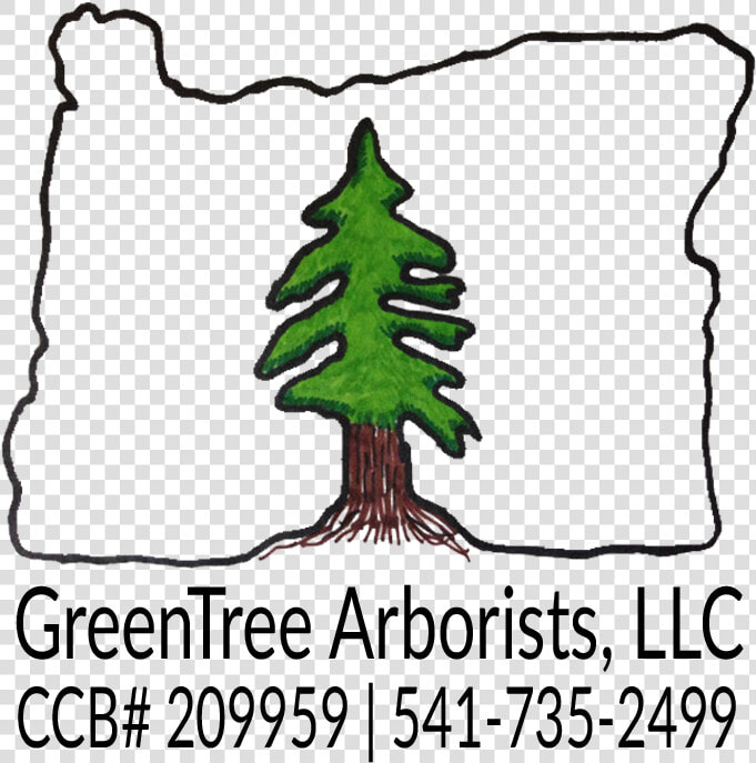 Greentree Arborists   Colorado Spruce  HD Png DownloadTransparent PNG