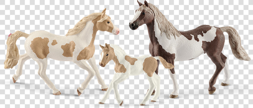 Schleich Paint Horses  HD Png DownloadTransparent PNG