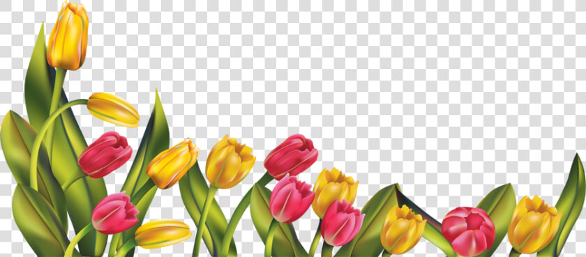 More Like  res  Tulip Border Png By Hanabell1   Tulips Png  Transparent PngTransparent PNG