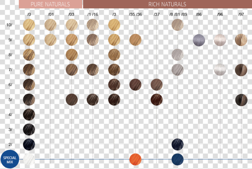 Wella Color Touch Palette  HD Png DownloadTransparent PNG