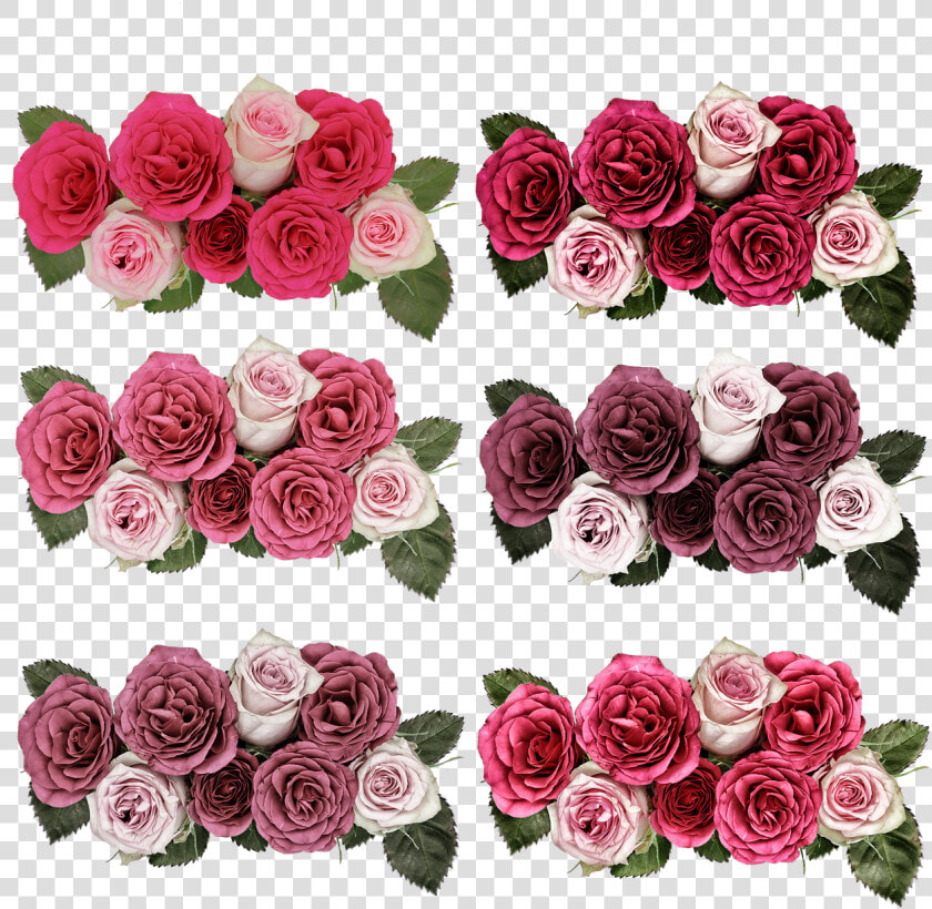 Roses  Flowers  Rose Flower  Pink  Garden  Summer   Rose  HD Png DownloadTransparent PNG