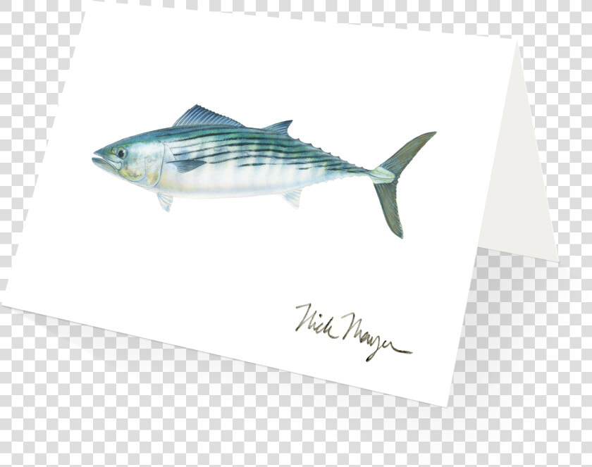 Transparent Dr Seuss Fish Clipart Black And White   Striper Bass  HD Png DownloadTransparent PNG