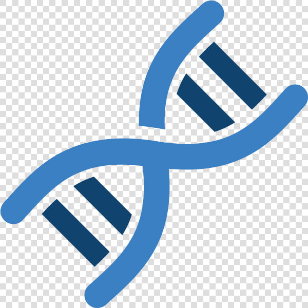 Dna Png Image   Dna Png  Transparent PngTransparent PNG