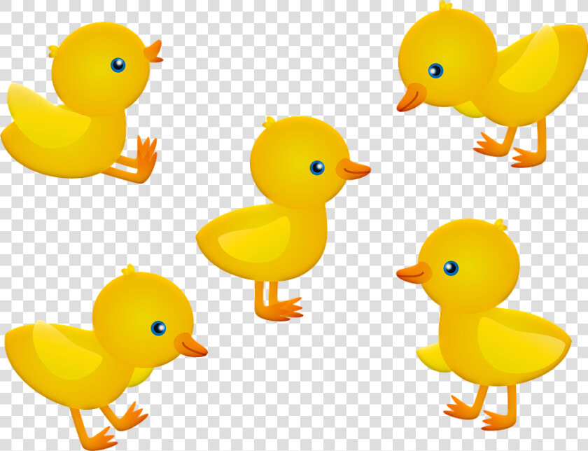 Transparent Baby Chicks Clipart   Pintinhos Png  Png DownloadTransparent PNG