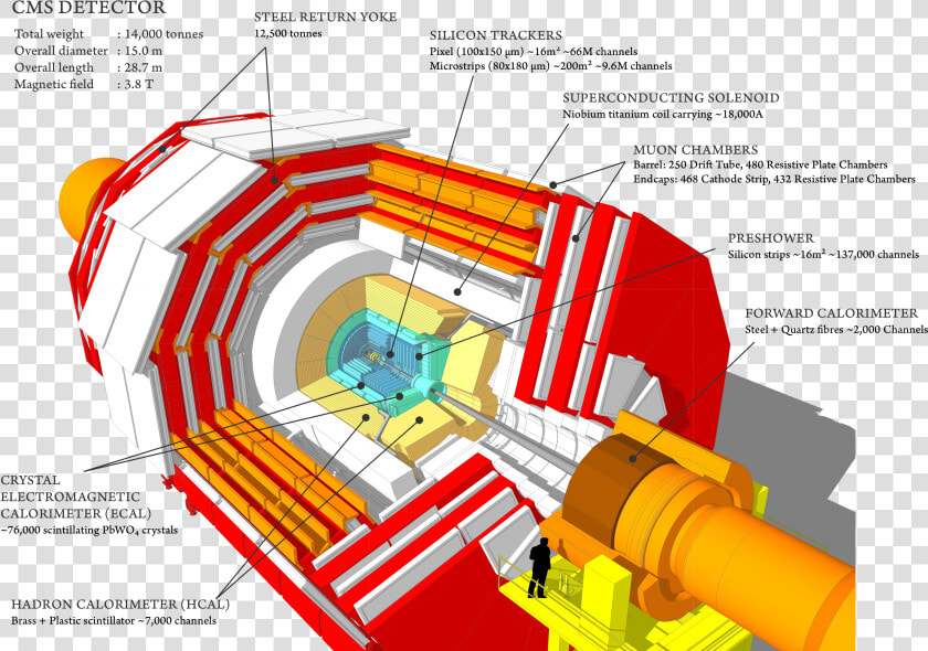 Cms Detector Cern  HD Png DownloadTransparent PNG