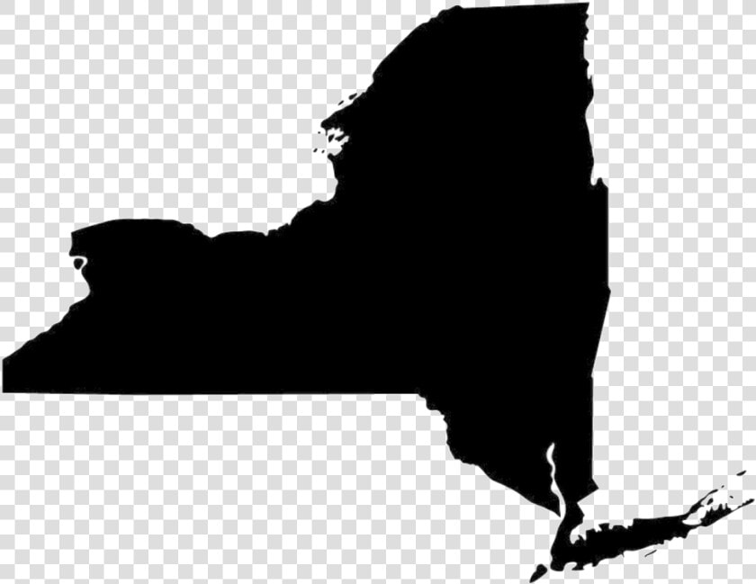 Nys Image  HD Png DownloadTransparent PNG