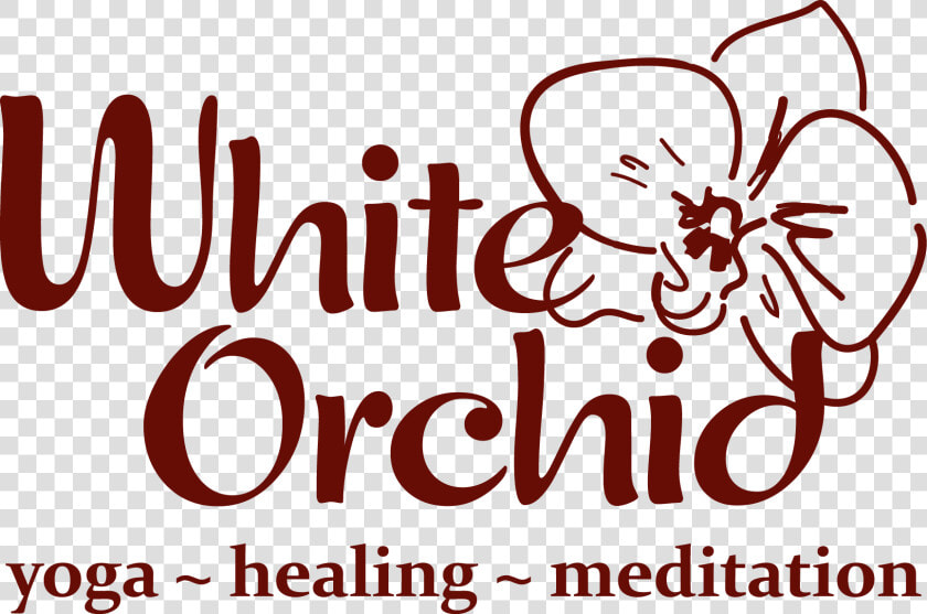 Transparent White Orchid Png   White Orchid  Png DownloadTransparent PNG