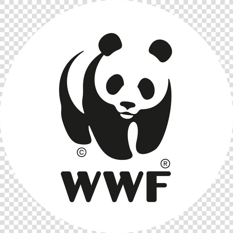 Wwf Logo Beled   Wwf Logo  HD Png DownloadTransparent PNG