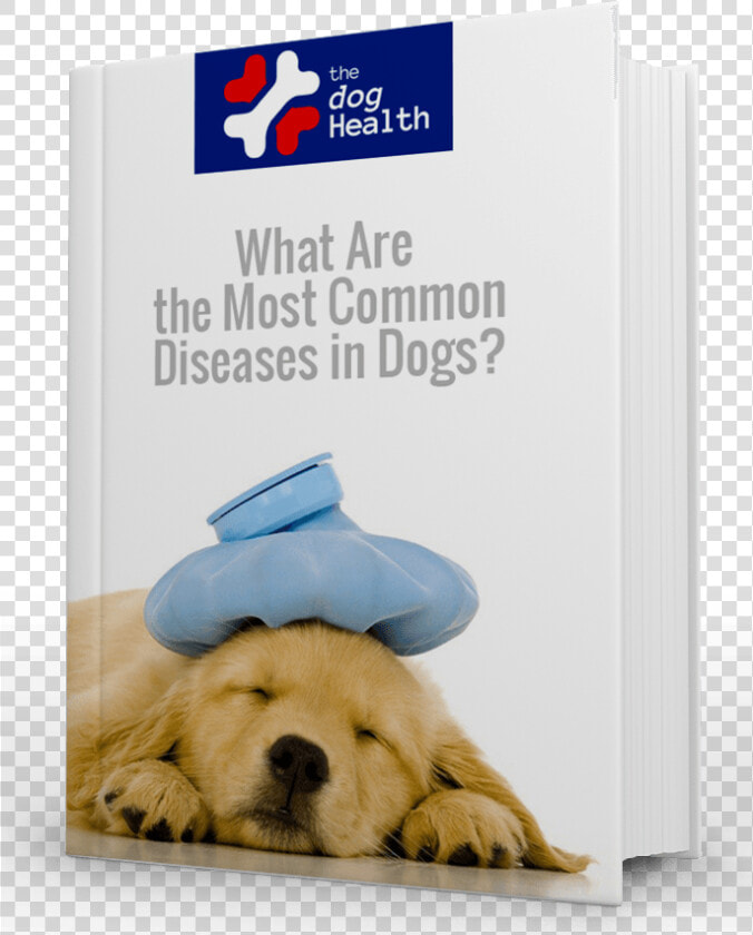 Most Common Diseases In Dogs   Tom And Jerry Sick  HD Png DownloadTransparent PNG