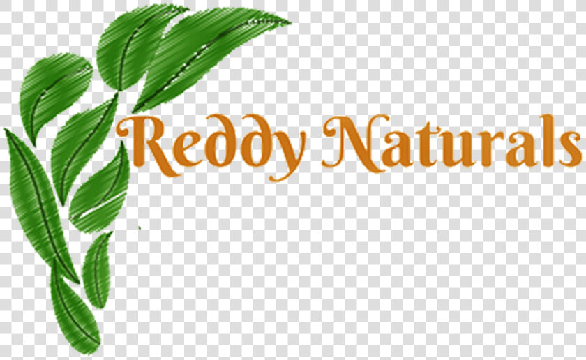 Reddy Naturals Reddy Naturals  HD Png DownloadTransparent PNG