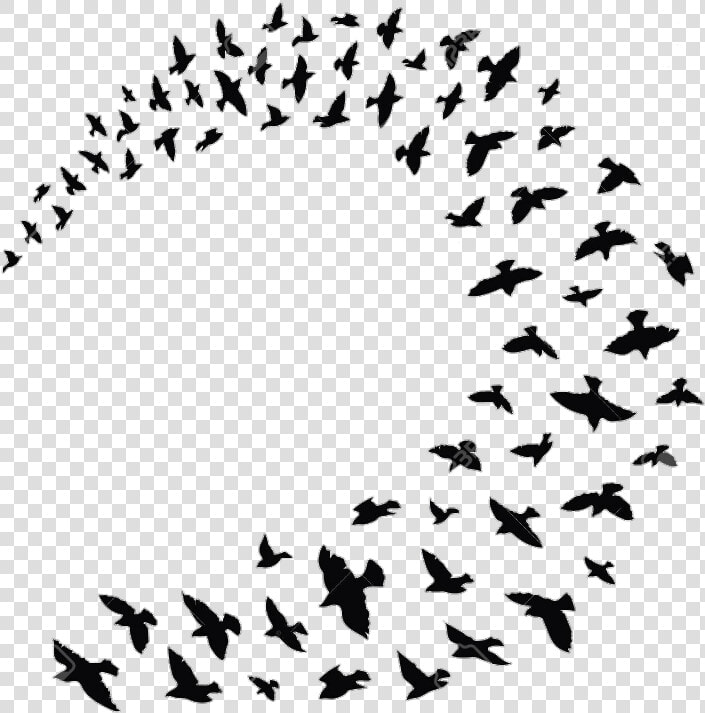 Flock Bird Columbidae Clip Art Silhouette   Mary Poppins Birds Black And White  HD Png DownloadTransparent PNG