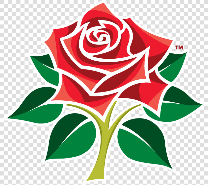 Lancashire Cricket Club  HD Png DownloadTransparent PNG