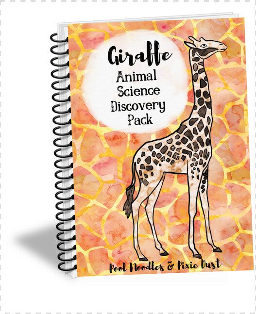 Giraffe Animal Science Discovery Pack   Giraffe  HD Png DownloadTransparent PNG