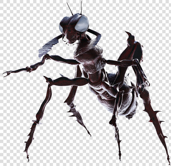 Download Creatures Png File   Sci Fi Creature Png  Transparent PngTransparent PNG