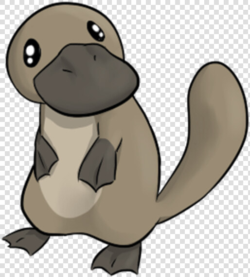 Platypus Cartoon Png  Transparent PngTransparent PNG