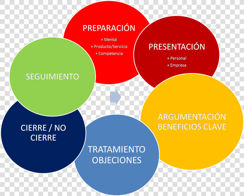 Fases De La Venta  HD Png DownloadTransparent PNG