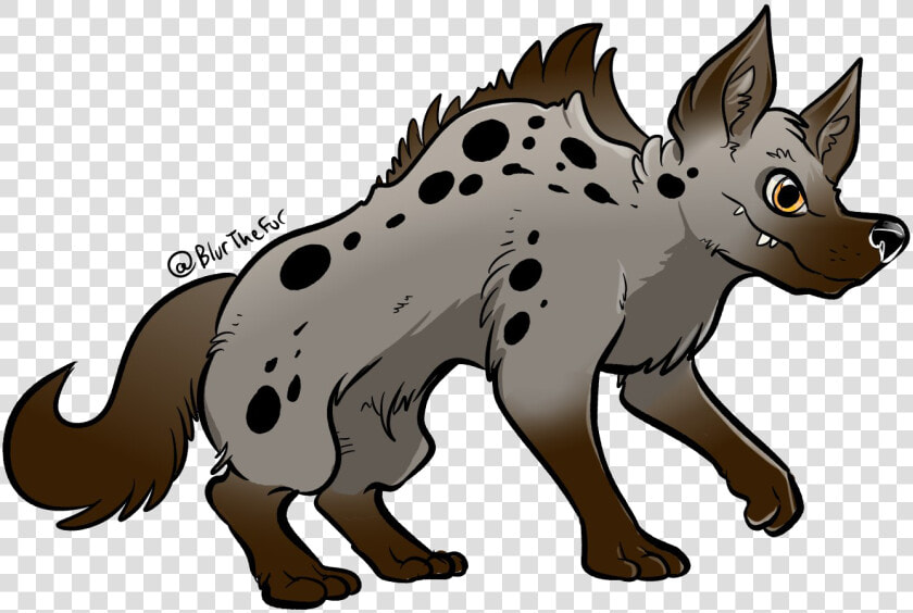 Hyena Transparent Image   Gato Cachorro Raposa  HD Png DownloadTransparent PNG