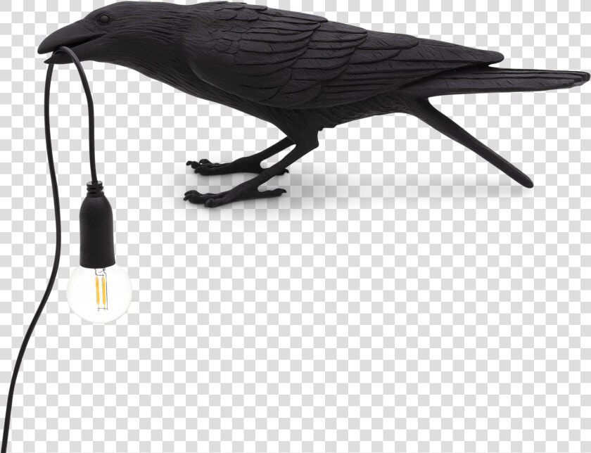 Bird Black Waiting Seletti  HD Png DownloadTransparent PNG