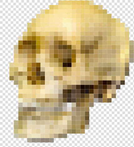 Skull Pixel   Australopithecus And Homo Sapiens  HD Png DownloadTransparent PNG