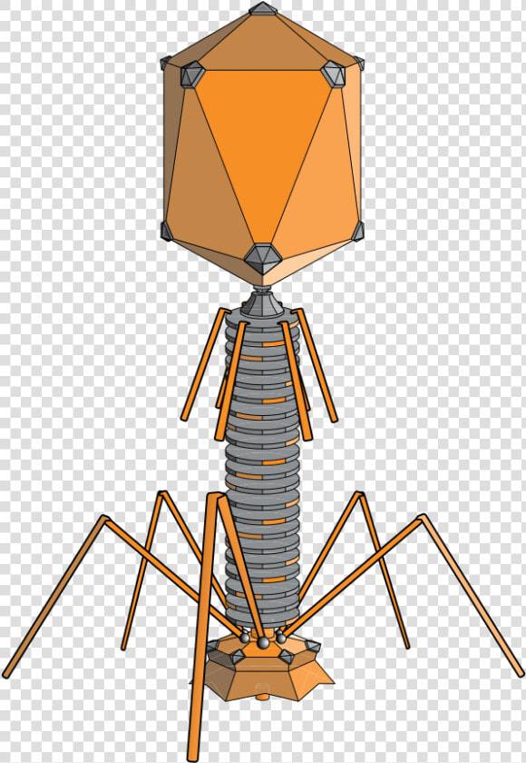 Lambda Phage  HD Png DownloadTransparent PNG