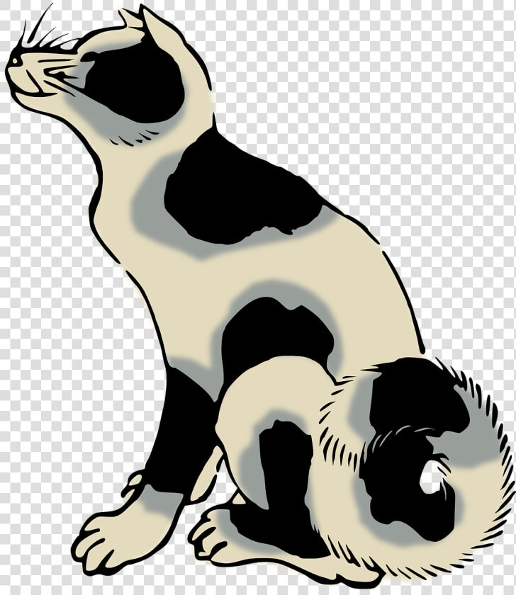 Drawing Whiskers Cat Dog Computer Icons   Breed Vs Species  HD Png DownloadTransparent PNG