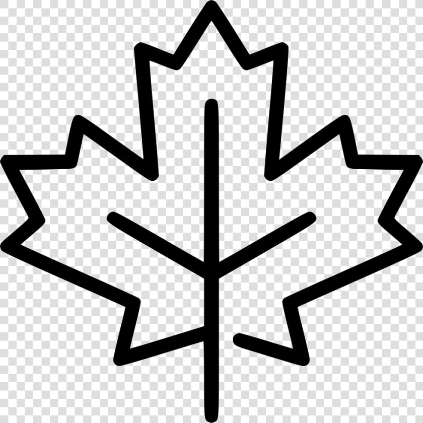 Maple Leaf   Maple Leaf Icon Vector  HD Png DownloadTransparent PNG