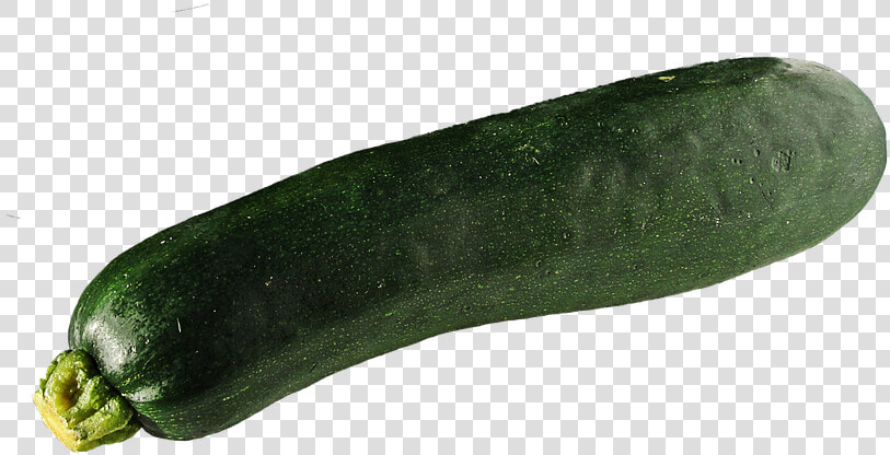 Zucchini Png Hd  Transparent PngTransparent PNG