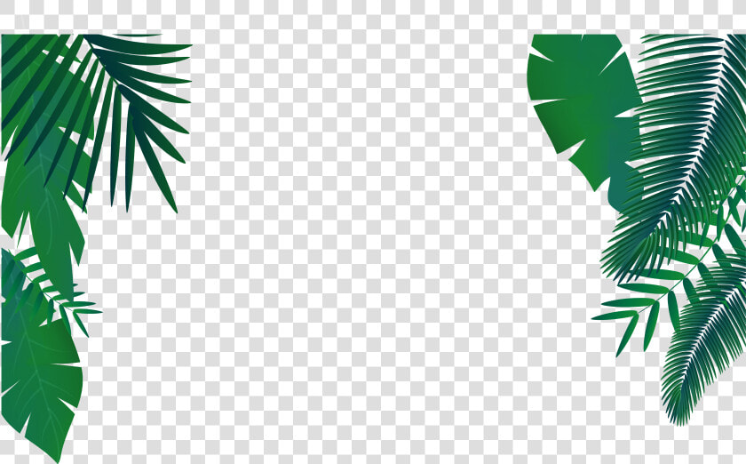 Palm Png Vector   Palm Leaves Vector Png  Transparent PngTransparent PNG