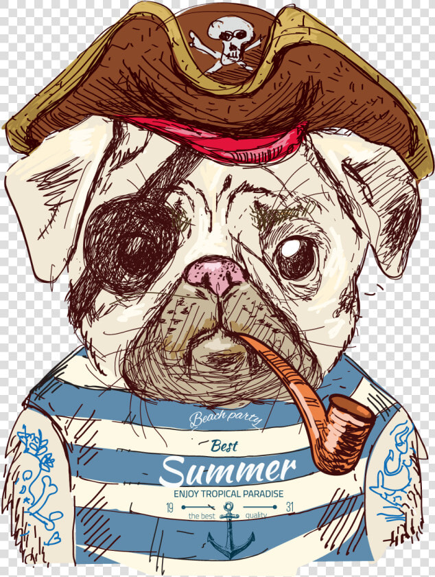 Cute Pug Dog Illustration Pirate Drawing Clipart   Pirate Pug  HD Png DownloadTransparent PNG