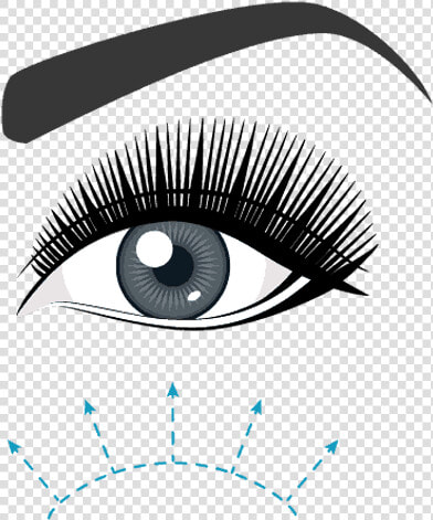 Eyelash Extensions  HD Png DownloadTransparent PNG