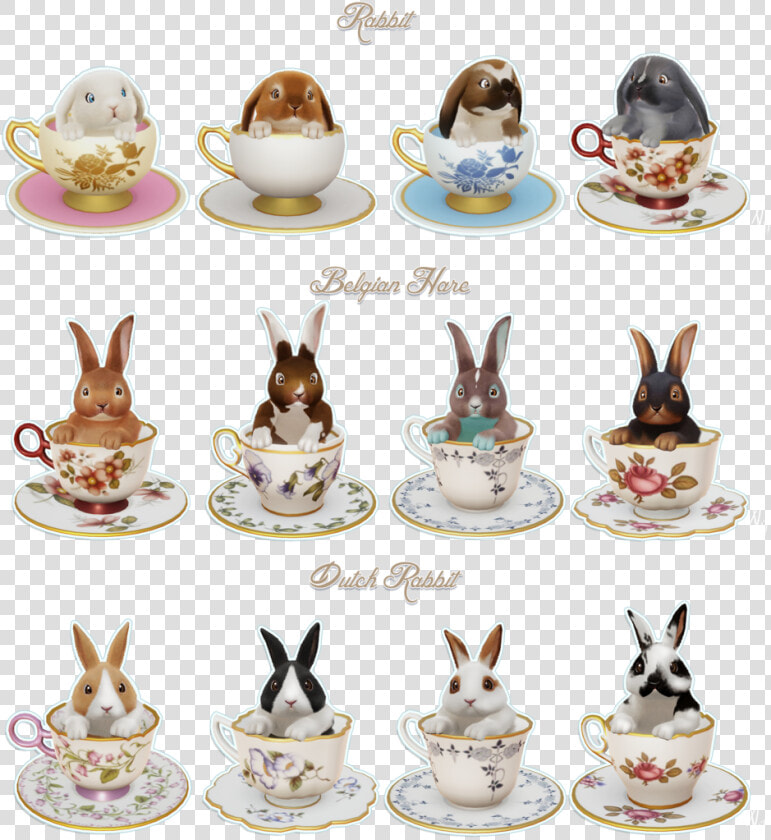 Transparent Teacups Png   Teacup  Png DownloadTransparent PNG