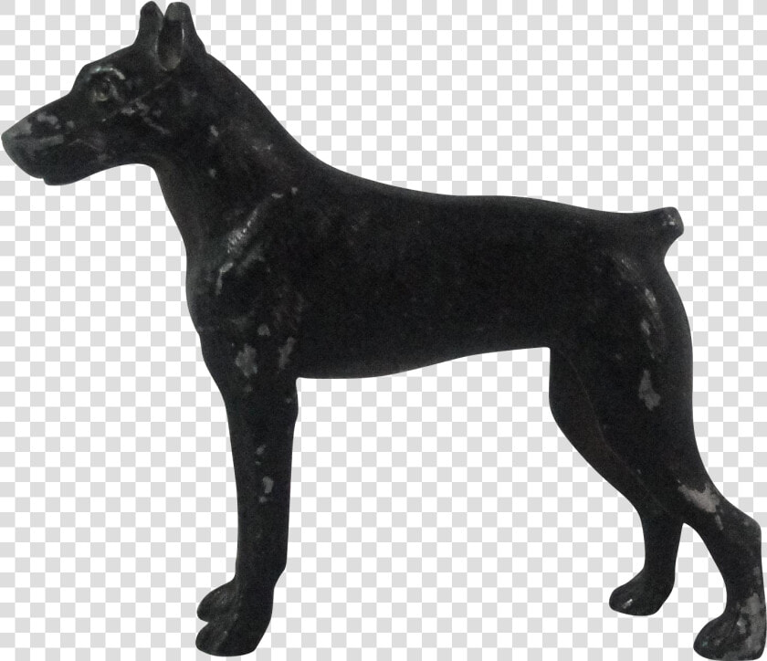 Miniature Schnauzer Giant Schnauzer Miniature Pinscher   Algerian Dog  HD Png DownloadTransparent PNG