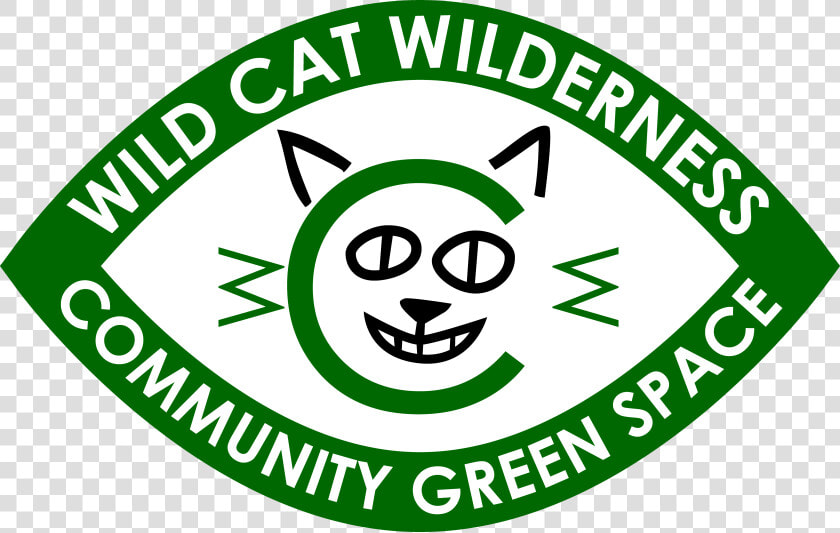 Wild Cat Wilderness  HD Png DownloadTransparent PNG