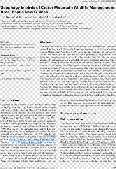 Document  HD Png DownloadTransparent PNG