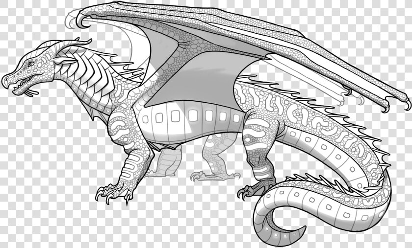 Wings Of Fire Wiki   Seawing Dragon Coloring Pages  HD Png DownloadTransparent PNG