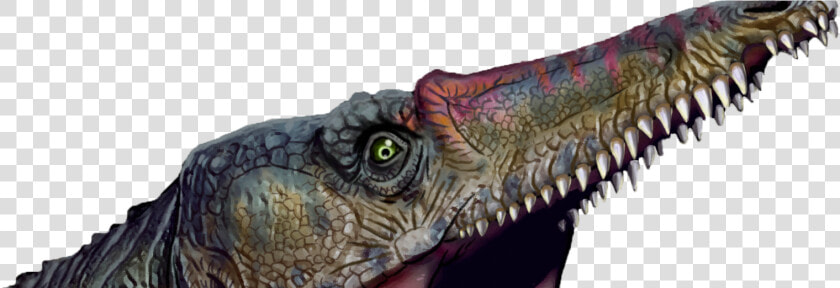 Lesothosaurus  HD Png DownloadTransparent PNG