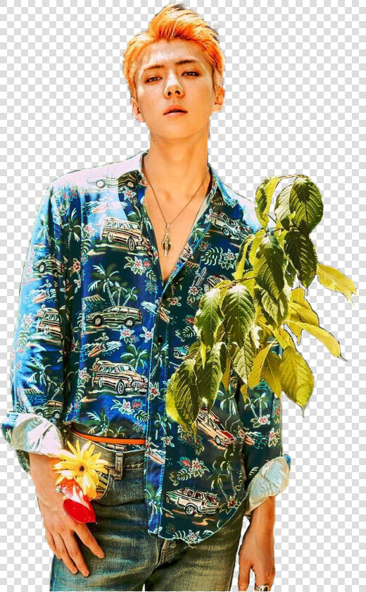  exo  kokobop  sehun  freetoedit   Sehun Kokobop Png  Transparent PngTransparent PNG