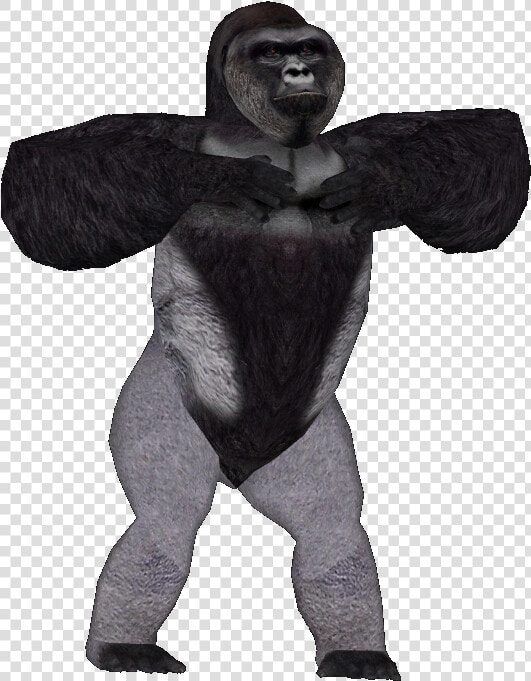 Harambe Transparent Background  HD Png DownloadTransparent PNG