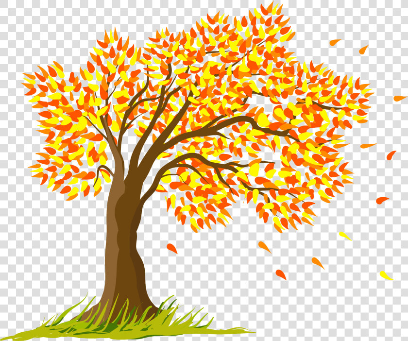 Transparent Seasons Clip Art   Autumn Trees Drawing  HD Png DownloadTransparent PNG