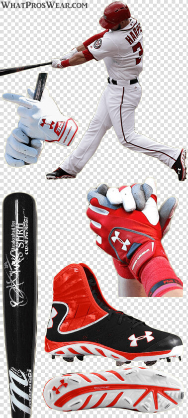 Bryce Harper Bat  Bryce Harper Marucci  Bryce Harper  HD Png DownloadTransparent PNG