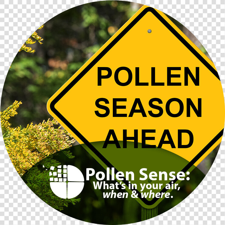 Pollen Sense What S In Your Air When And Where   Pollen Allergies  HD Png DownloadTransparent PNG