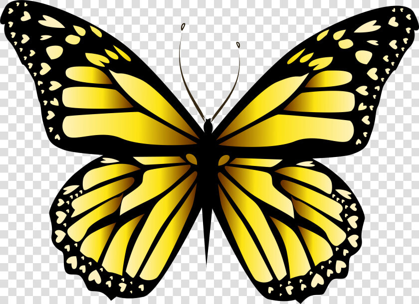 Yellow Butterfly Png   Butterfly Yellow Png  Transparent PngTransparent PNG