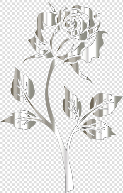 Plant flora rose Order   Rose Gold Transparent Background  HD Png DownloadTransparent PNG