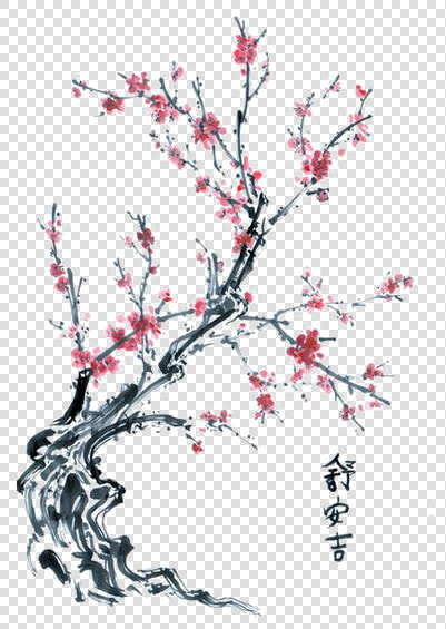 Twig Drawing Cherry Tree Transparent Png Clipart Free   Drawing Japanese Cherry Blossom Branch  Png DownloadTransparent PNG