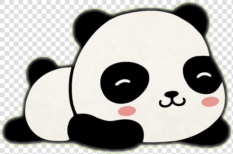  italy  freetoedit  panda  sticker  kawaii  cute  japan   Panda Wallpaper Desktop Hd  HD Png DownloadTransparent PNG