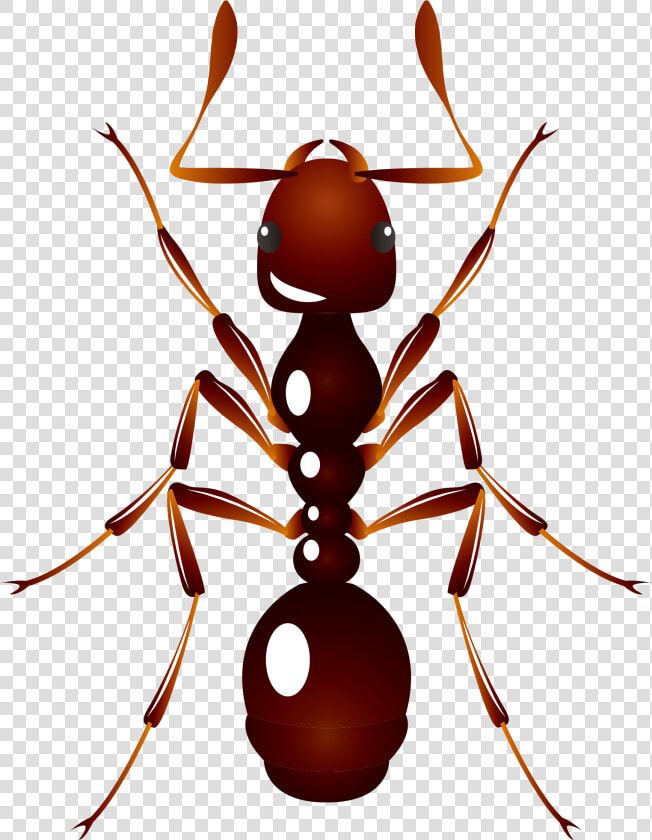 Ant U6606u866b U8682u8681 Insect   Ant  HD Png DownloadTransparent PNG