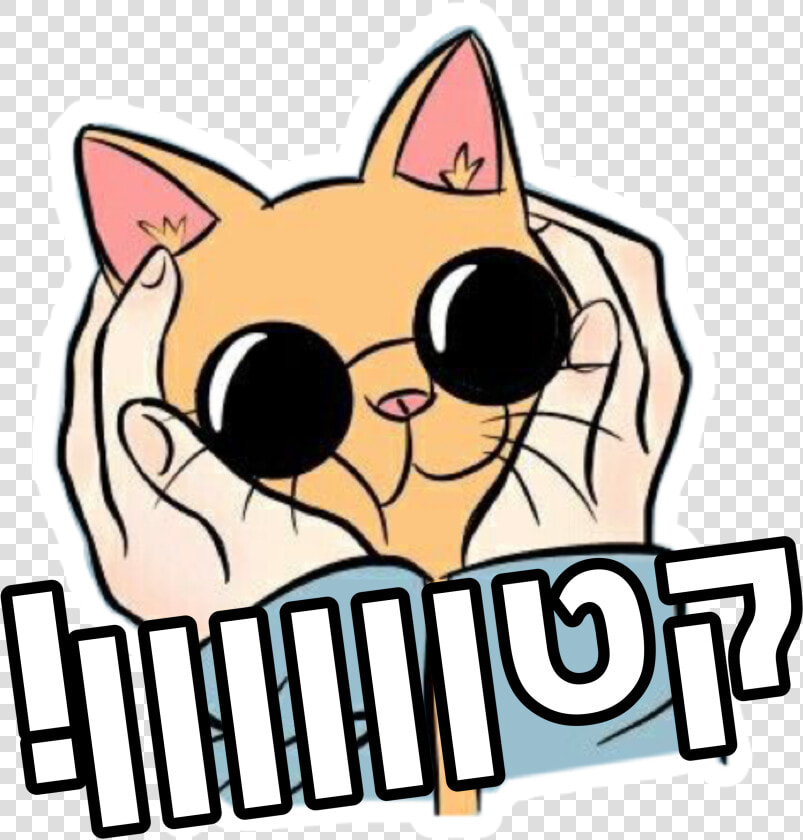  קטן  חמוד  cute  memes  notmine  cat  kawaii  stickerforfree   Cute Wallpapers Tumblr Hd  HD Png DownloadTransparent PNG